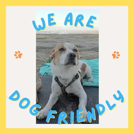 La Casa Delle Magnolie * San Canzian dʼlsonzo