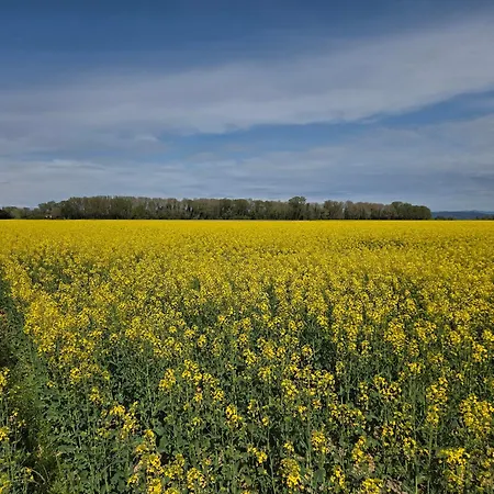 Ferienhaus La Casa Delle Magnolie San Canzian dʼlsonzo