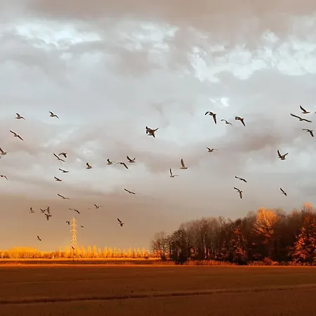 La Casa Delle Magnolie *