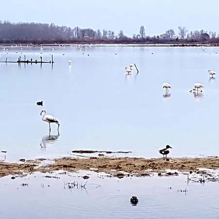 La Casa Delle Magnolie