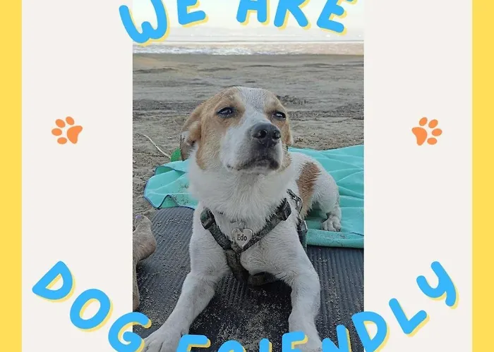 La Casa Delle Magnolie * San Canzian dʼlsonzo