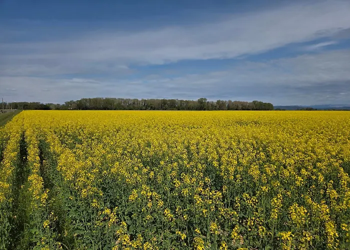 Prázdninový dům La Casa Delle Magnolie San Canzian dʼlsonzo