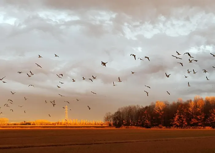 La Casa Delle Magnolie *